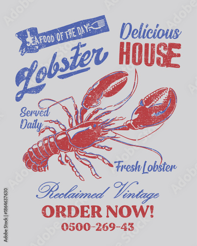 Lobster vector illustration on white background