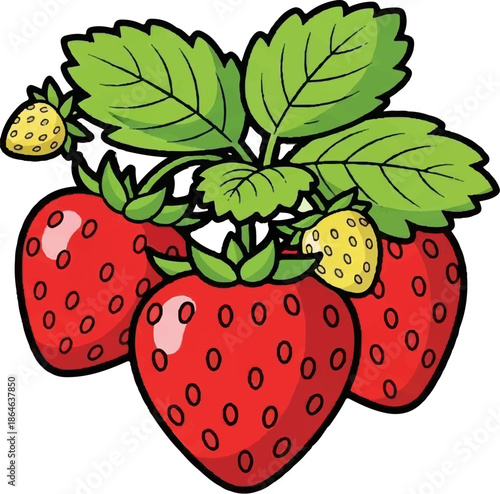 Vibrant illustration of ripe red strawberries and small green leaves on a white background
