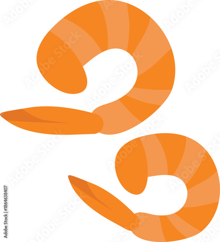 Shrimp illustration