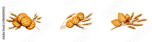 Golden baked crackers and natural wheat stalks arranged for healthy food product packaging and wholesome agricultural themed promotions