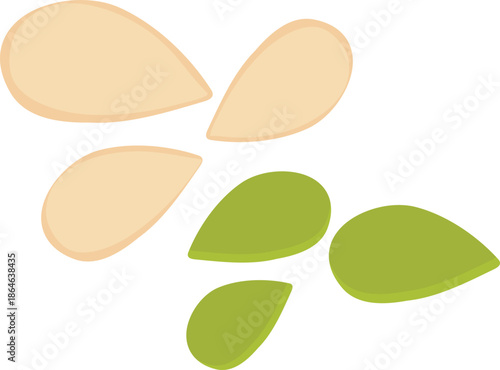 Pumpkin seed illustration.