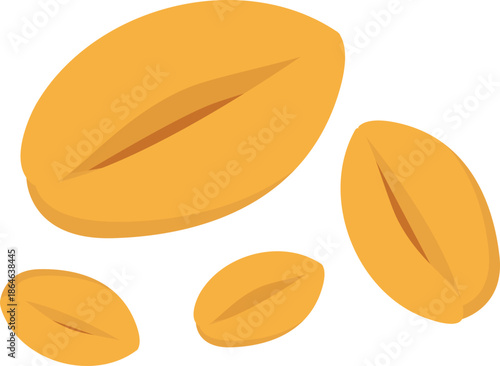 Wheat grain illustration.