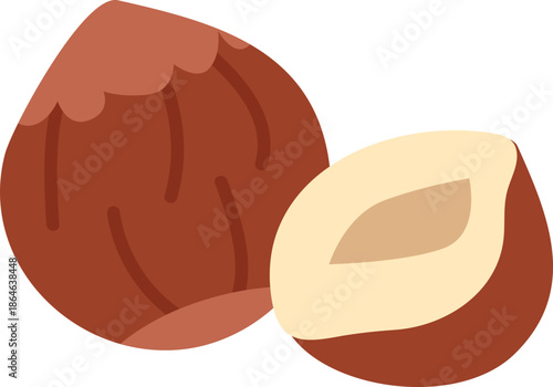Hazelnut illustration.