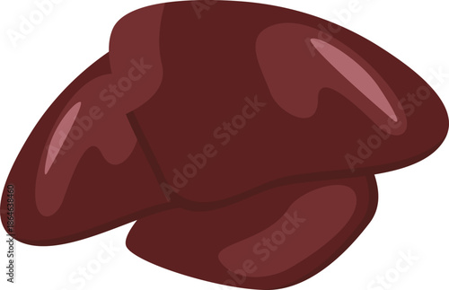 Liver meat illustration.