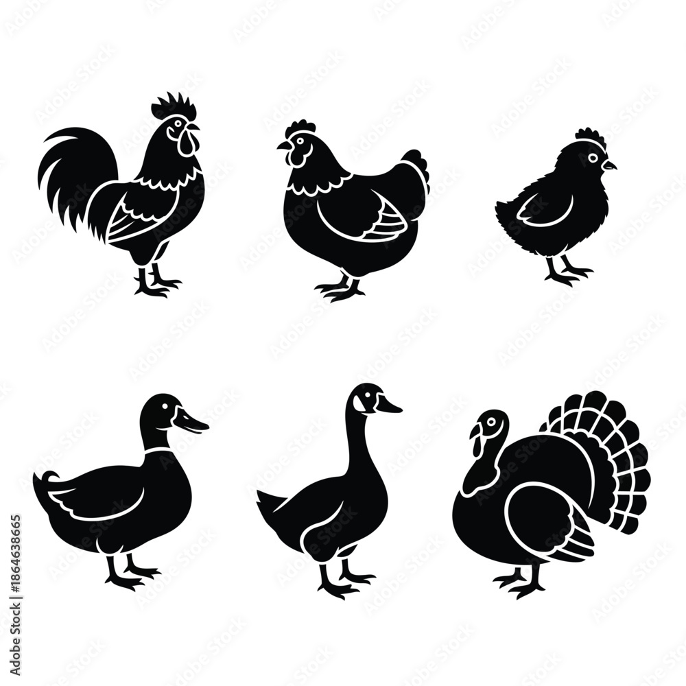 Fototapeta premium Collection of poultry birds silhouette Vector, illustration