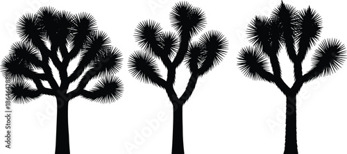 Joshua tree set, desert silhouette, spiky foliage, twisted branches, botanical design, nature symbol, vector art, illustration, contrast, ecology