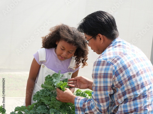Child Learning About Nature with parent in outdoor vegetable garden