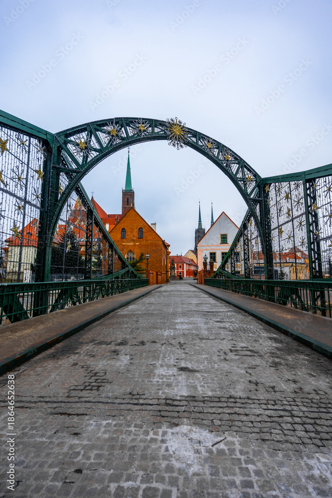 Fototapeta premium bridge over the river