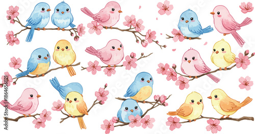 Colorful birds sitting on blooming cherry blossom branches in spring