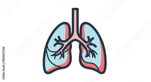 A minimalist artistic rendition of the essential human respiratory organs, showcasing the intricate structure of the lungs and bronchial tree in a