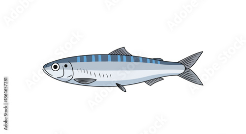 A charming simple cartoon illustration of a lively slender silver fish displaying prominent blue dorsal stripes against a clean crisp white