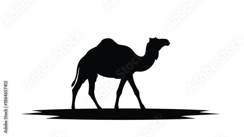 A striking black camel form walking across a white background silhouette