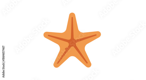 A cheerful orange sea star illustration with five distinct arms centered on a clean white background evoking feelings of summer coastal charm and