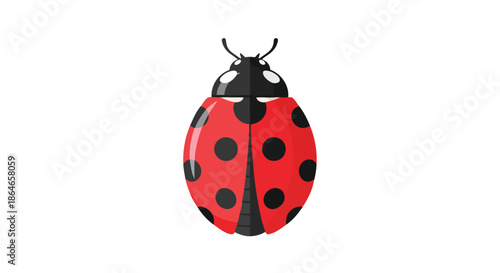 A vibrant illustration of a classic red ladybug with distinct black spots and prominent antennae, embodying nature's tiny wonders and delicate