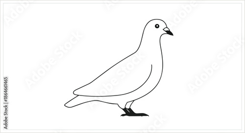 A minimalist black outline illustration of a common pigeon standing gracefully, showcasing its elegant form with a clear, simple artistic touch for