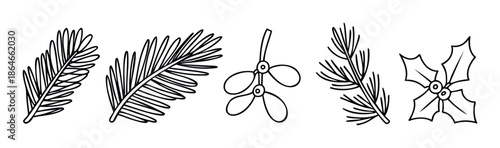 Winter botanical elements collection featuring outline drawings of festive mistletoe, holly, and evergreen branches for holiday greeting cards, seasonal decorations, and crafting projects