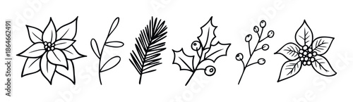 Collection of handdrawn winter botanical outlines featuring poinsettia, holly, and pine branches, perfect for seasonal graphic projects and festive decorations