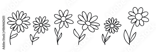 Simple hand drawn outline daisy flowers with stems and leaves, ideal for spring themes, natureinspired decor, textile prints, childrens books, or casual graphic projects.