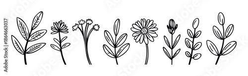 A curated set of hand drawn botanical plant stems featuring diverse leaves and blossoms, perfect for creating unique greeting cards, wedding invitations, nature themed decor, or educational