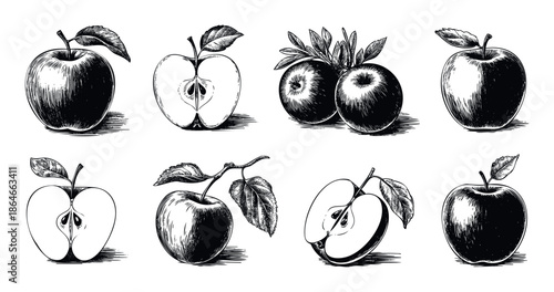 Various hand drawn apple fruit illustrations including whole and sliced apples with stems and leaves perfect for natural food packaging organic product labels and healthy diet cookbooks