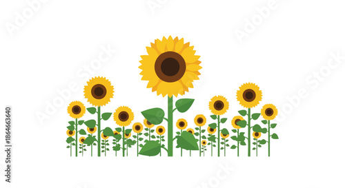 A cheerful and vibrant botanical illustration featuring multiple bright yellow sunflowers, with one prominently large bloom, standing gracefully in