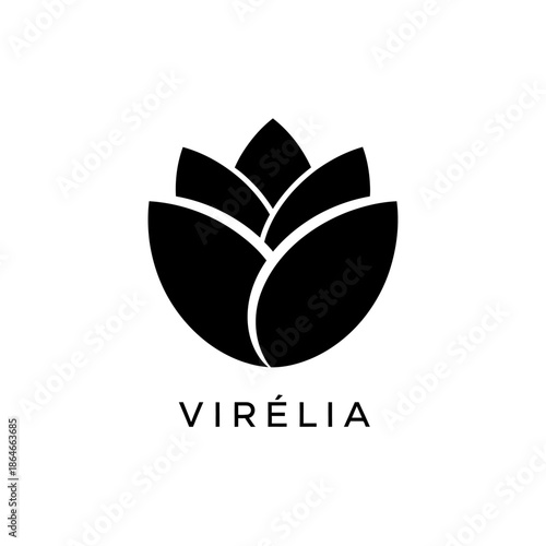 Minimalist black flower logo with the brand name Virelia underneath.