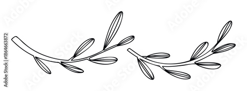 Minimalist outline drawing of two botanical foliage sprigs suitable for elegant wedding invitations, greeting cards, and natural themed cosmetic product packaging