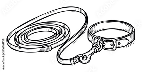 Black and white sketch of a pet leash and collar for dogs, perfect for animal care blogs and veterinary clinic promotional materials