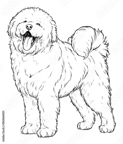 Cheerful fluffy dog character outline sketch with a playful expression and happy tongue, ideal for graphic projects, educational materials, or pet care advertising