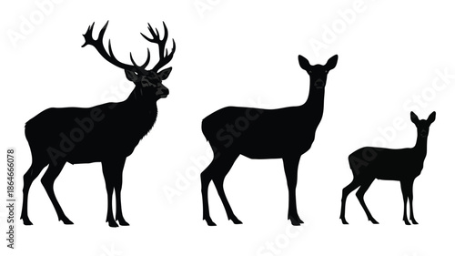 A family of deer standing together a striking black silhouette
