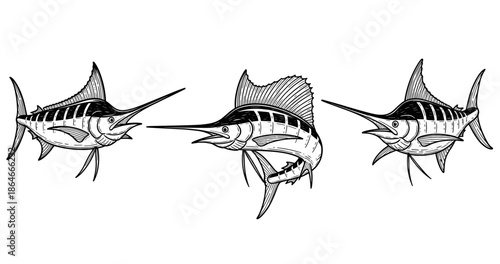 Three stylized marlin fish illustrations in black and white