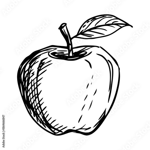 Hand-sketched rough doodle drawing shows apple sketch. This minimalist apple sketch depicts healthy produce with stem and leaf.