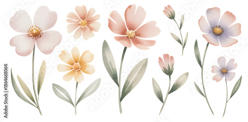 Soft pastel wildflower set painted in gentle hand painted watercolor style isolated on white background.