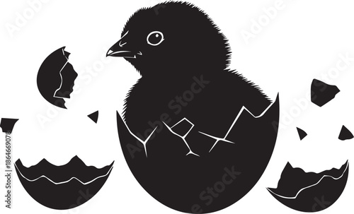 Chick emerging from eggshell