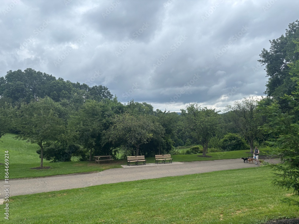Obraz premium Park with benches