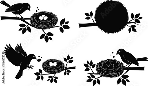 Bird nest silhouette vector set with perched birds branches and eggs decorative wildlife illustrations isolated on white