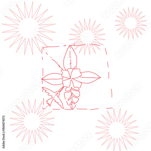 Elegant red outline drawing of a hummingbird feeding from a blooming tropical flower with intricate leaves, surrounded by decorative starburst elements, isolated on transparent background.