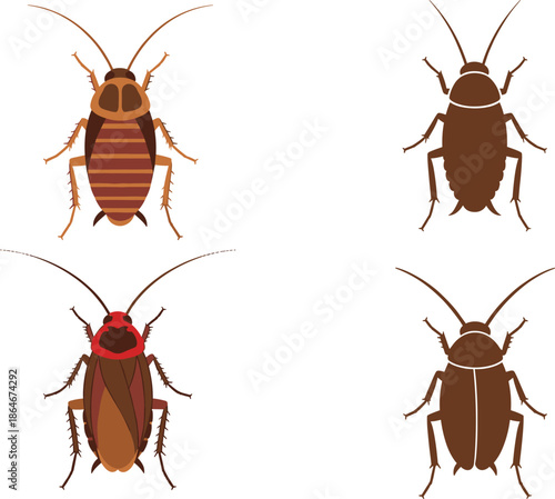 Cockroach insect illustration set, realistic and silhouette roach icons isolated on white background