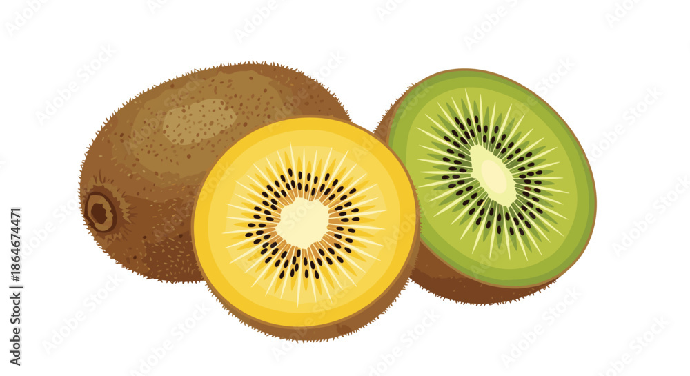 Fototapeta premium Group of whole and sliced green and golden kiwi fruits with fuzzy skin and vibrant centers containing black seeds isolated on a white background.