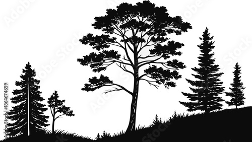 A minimalist black silhouette of trees on a hill against a white background, representing nature and landscape in a simple vector graphic design.