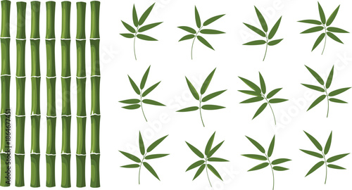 Green bamboo stems and leaves vector set with natural tropical botanical elements isolated on white background