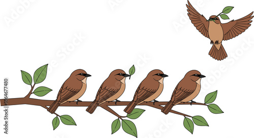 Small brown birds vector illustration set with perched and flying poses on tree branch isolated on white