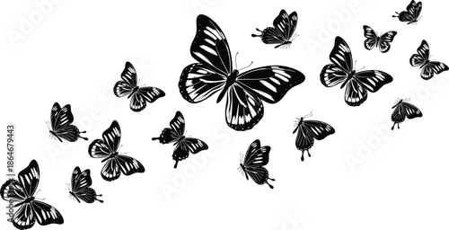 Black and white butterflies in flight, stylized wing patterns, elegant motion, nature art, decorative swarm - flat vector illustration