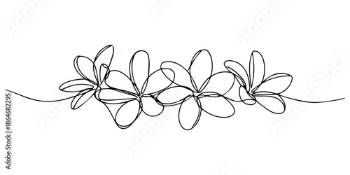 Flower continuous line art drawing. Plumeria one line symbol. Frangipani blossom. Vector illustration isolated on white, Plumeria flowers in continuous line art drawing style. Minimalist black line.
