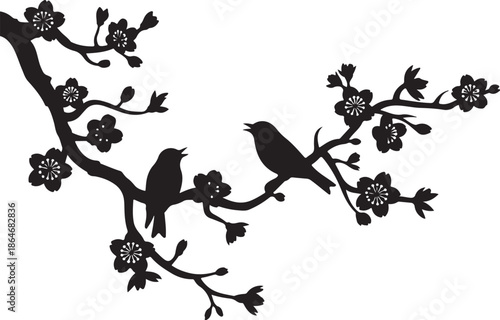 Two black birds on a flowering branch silhouette flowers