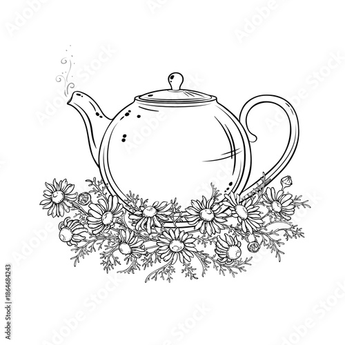 Chamomile Tea in Teapot Outline Illustration.
