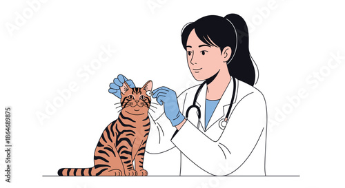 Caring female veterinarian wearing a white lab coat and blue gloves carefully cleans the ears of a tabby cat during a medical checkup.