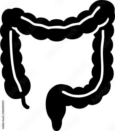 Human Large Intestine Colon Anatomy Icon Black Silhouette