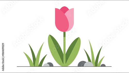A vibrant, flat vector illustration of a tulip with pink petals, green leaves, and blades of grass on a white background. Small grey stones are placed near the grass