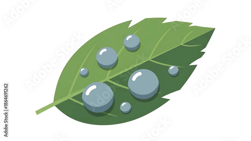 A vibrant, detailed illustration featuring a green leaf adorned with multiple, clear water droplets, perfect for design needs